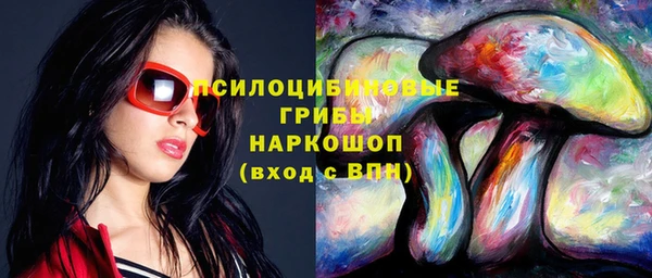трава Надым